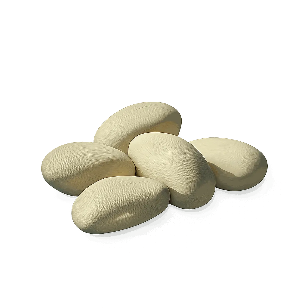 Navy bean